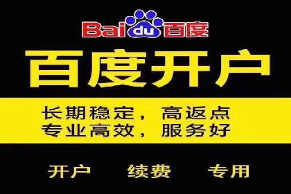 百度推广运营实战：中小企业如何突围