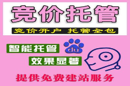 案例解读：SEM托管助力电商销售增长